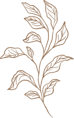 demo-attachment-293-GOLDEN-LEAF